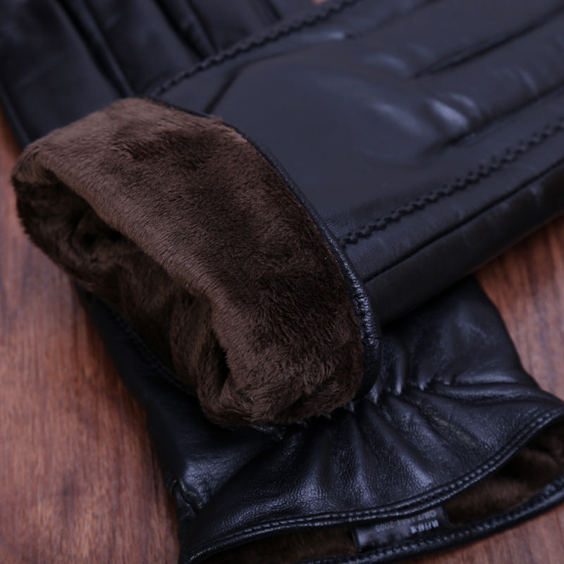 Classic Leather Gloves