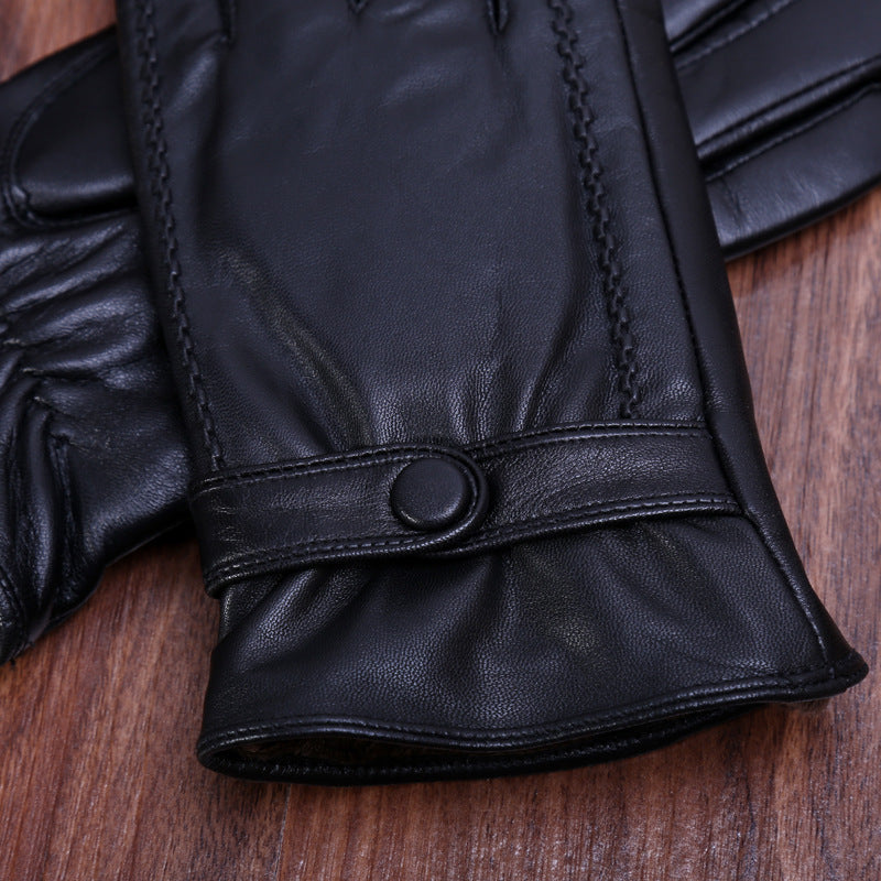 Classic Leather Gloves